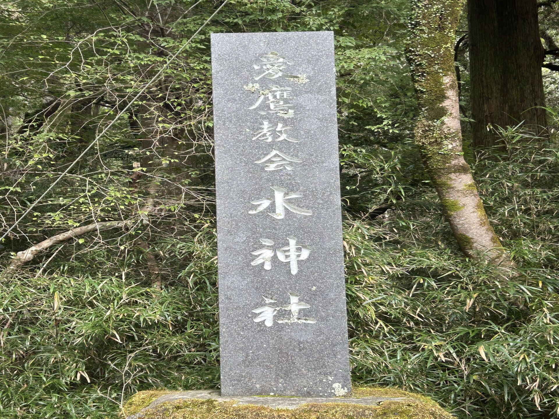 パワーを貰えに
