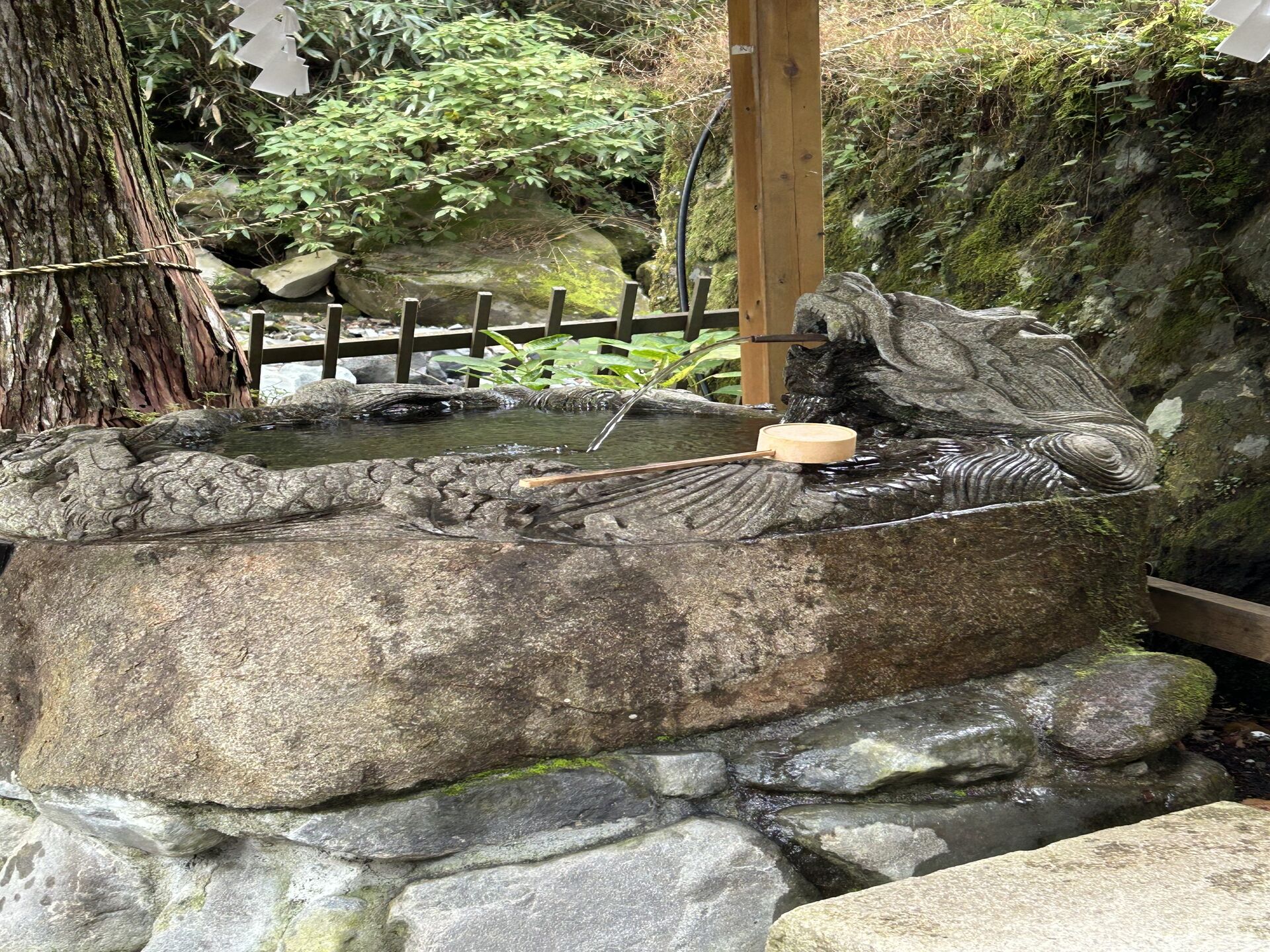パワーを貰えに