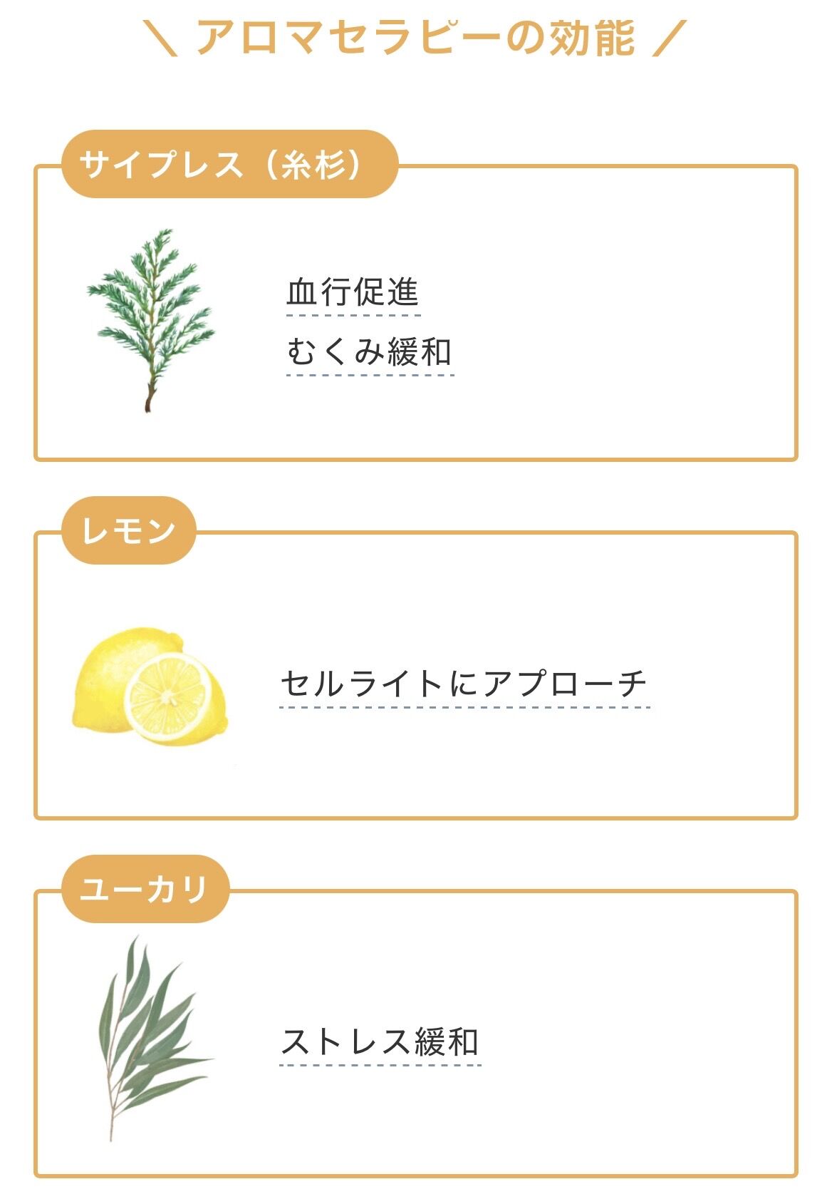 大好評