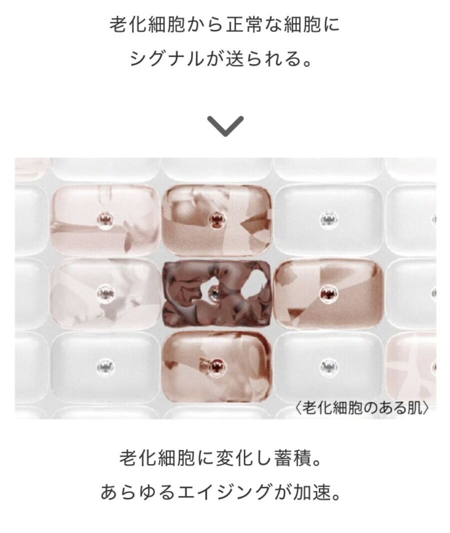 肌の時間が、巻き戻る。¹ 「老け」の連鎖を断ち切る、究極のエイジングケア²『LE TEMPS（ル・タン）』